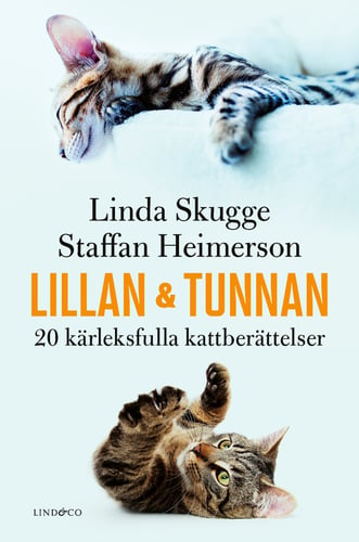 Lillan och Tunnan : 20 kärleksfulla kattberättelser_0