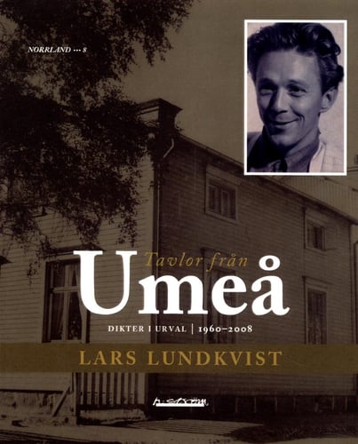 Tavlor från Umeå : lokala dikter 1960 - 2008 - picture