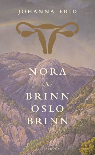 Nora eller Brinn Oslo brinn - picture