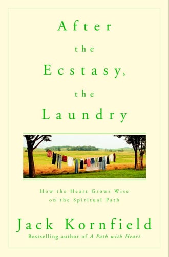 After the Ecstasy, the Laundry - picture