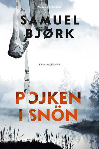 Pojken i snön - picture