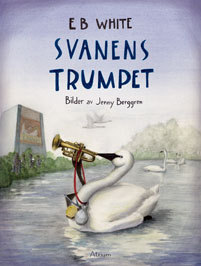 Svanens trumpet_0