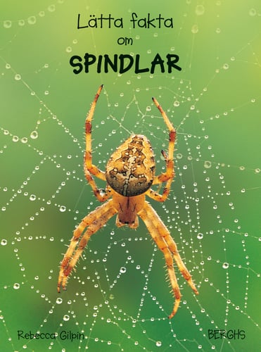Lätta fakta om spindlar - picture