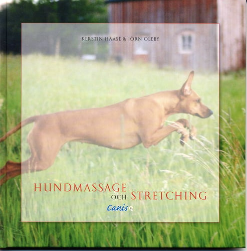 Hundmassage och stretching - picture