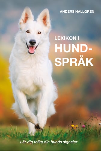 Lexikon i hundspråk : lär dig tolka din hunds signaler - picture