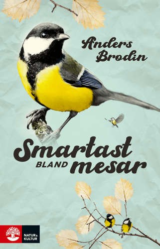 Smartast bland mesar - picture