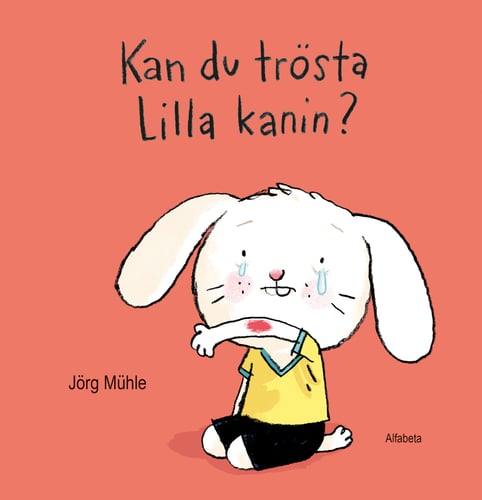 Kan du trösta Lilla kanin? - picture