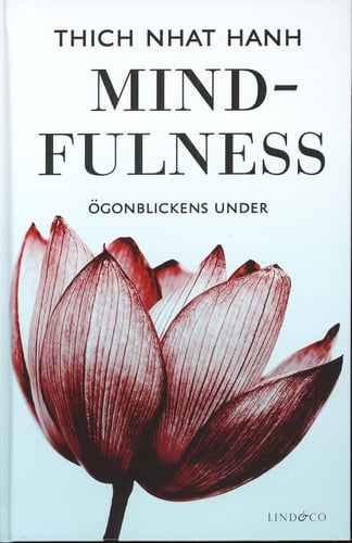 Mindfulness : ögonblickens under_0