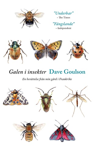 Galen i insekter : En berättelse från min gård i Frankrike - picture