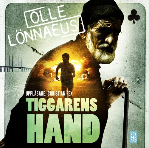 Tiggarens hand - picture