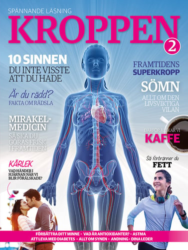 Kroppen - picture