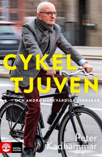 Cykeltjuven - picture