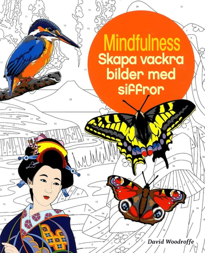 Mindfulness : skapa vackra bilder med siffror_0