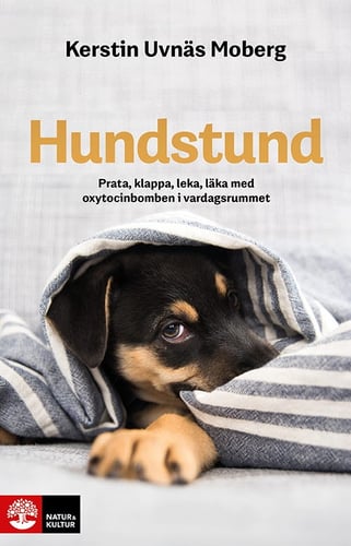 Hundstund : prata, klappa, leka, läka med oxytocinbomben i vardagsrummet - picture