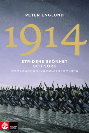 Stridens skönhet och sorg 1914 : första världskrigets inledande år i 68 korta kapitel - picture