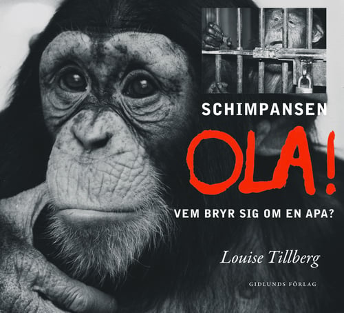 Schimpansen Ola : vem bryr sig om en apa? - picture