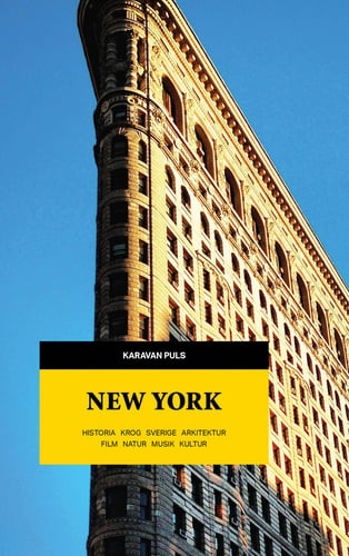 New York : historia, krog, Sverige, arkitektur, film, natur, musik, kultur - picture