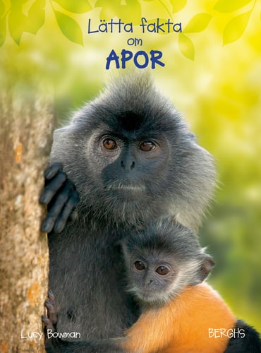 Lätta fakta om apor - picture