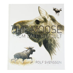 The moose : from calf to adult - picture