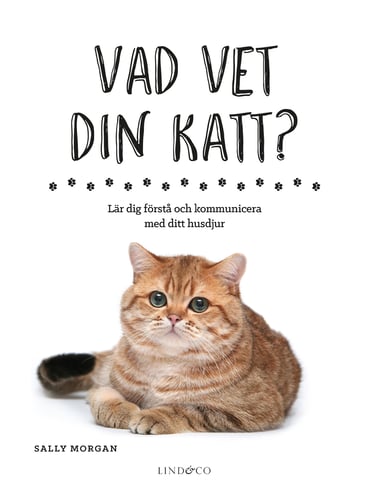 Vad vet din katt? : lär dig förstå och kommunicera med ditt husdjur_0