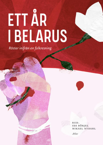Ett år i Belarus : Röster inifrån en folklig resning - picture