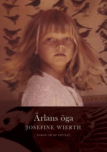 Ärlans öga : roman om en uppväxt_0