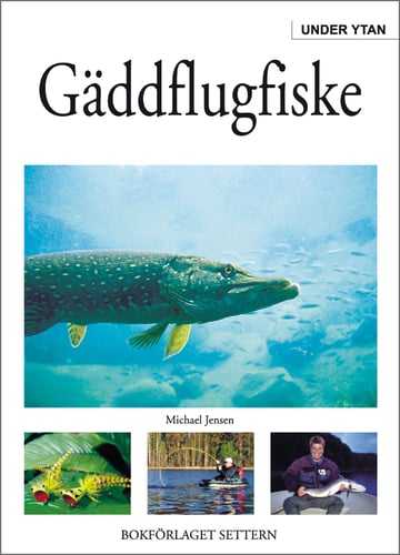 Gäddflugfiske - Under ytan - picture