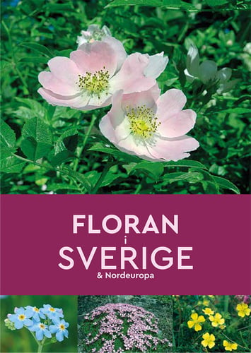 Floran i Sverige & Nordeuropa_0
