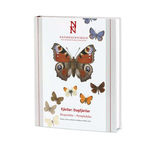 Fjärilar : dagfjärilar. Hesperiidae : nymphalidae_0