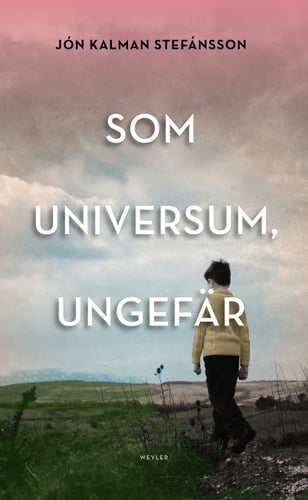 Som universum, ungefär : en släktroman - picture