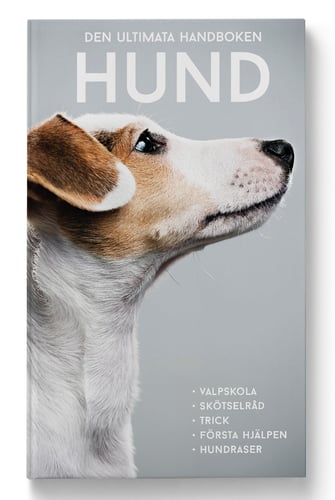 Den ultimata handboken : hund - picture