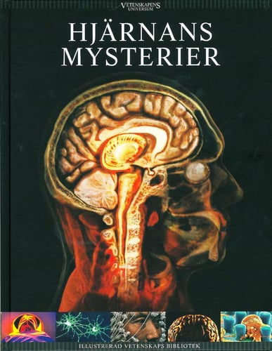 Hjärnans mysterier - picture