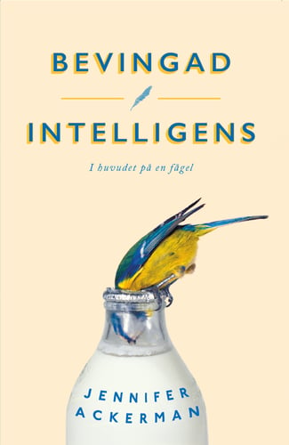 Bevingad intelligens : I huvudet på en fågel - picture