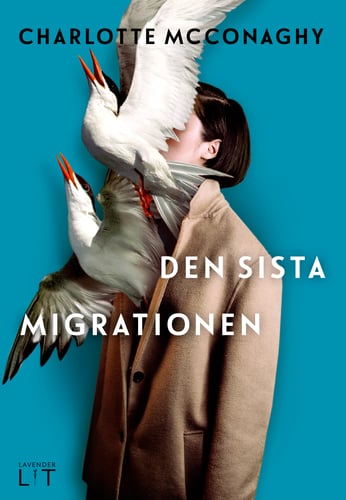 Den sista migrationen_0