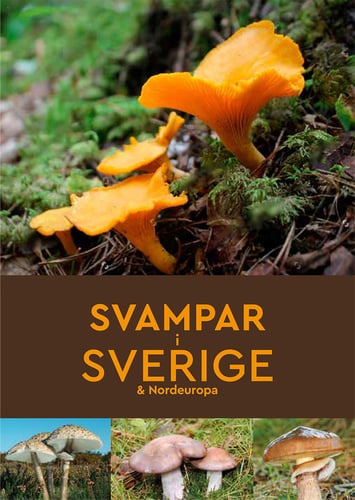 Svampar i Sverige & Nordeuropa_0