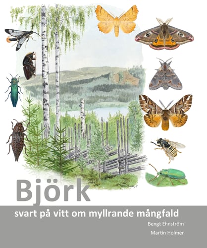 Björk : svart på vitt om myllrande mångfald_0