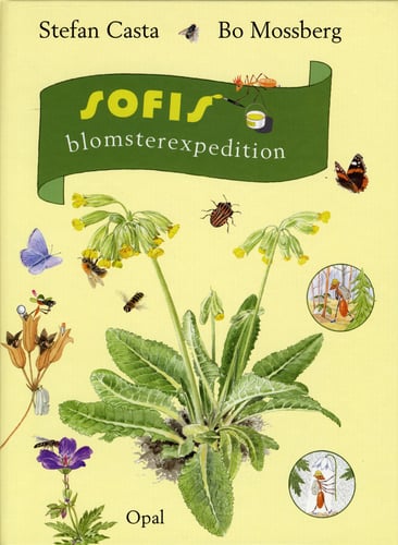 Sofis blomsterexpedition - picture