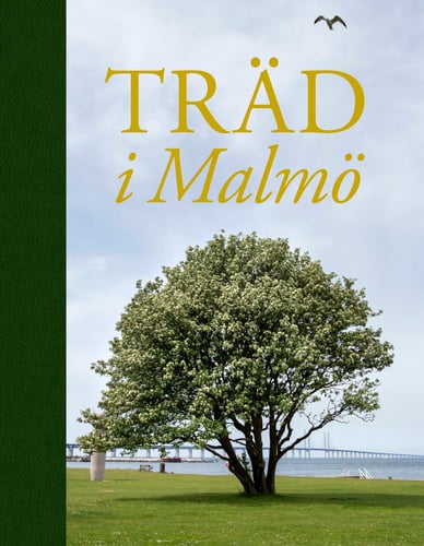 Träd i Malmö_0