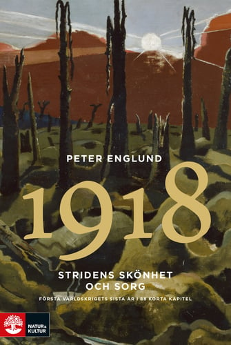 Stridens skönhet och sorg 1918 : första världskrigets sista år i 88 korta kapitel - picture