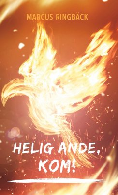 Helig Ande, kom! - picture