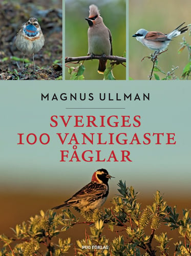 Sveriges 100 vanligaste fåglar_0