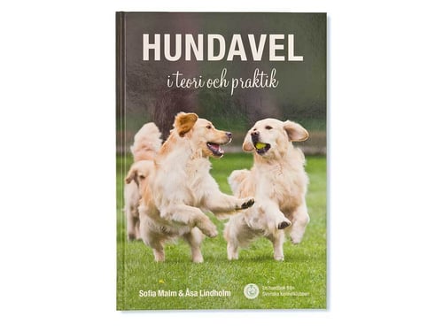 Hundavel i teori och praktik - picture