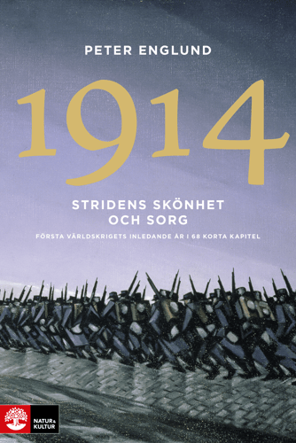 Stridens skönhet och sorg 1914 : första världskrigets inledande år i 68 korta kapitel_0