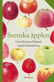 Svenska äpplen - picture