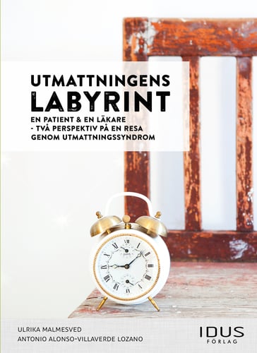 Utmattningens labyrint : en patient & en läkare - två perspektiv på en resa - picture