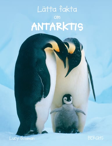 Lätta fakta om Antarktis - picture