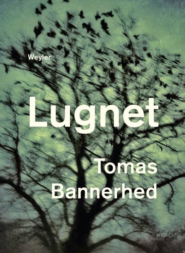 Lugnet - picture