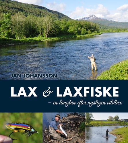 Lax & laxfiske : en längtan efter nystigen vildlax - picture