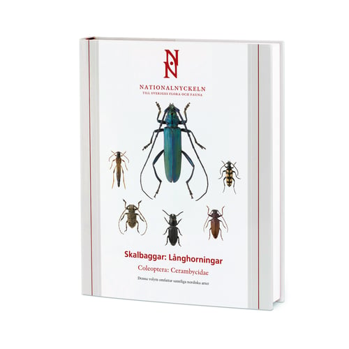 Skalbaggar : långhorningar. Coleoptera : cerambycidae - picture