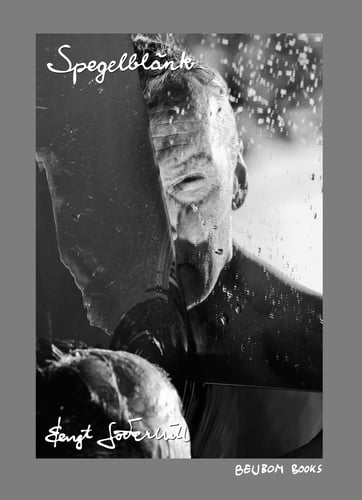 Spegelblänk : poetiska återspeglingar i fem delar : sordo i B-moll_0